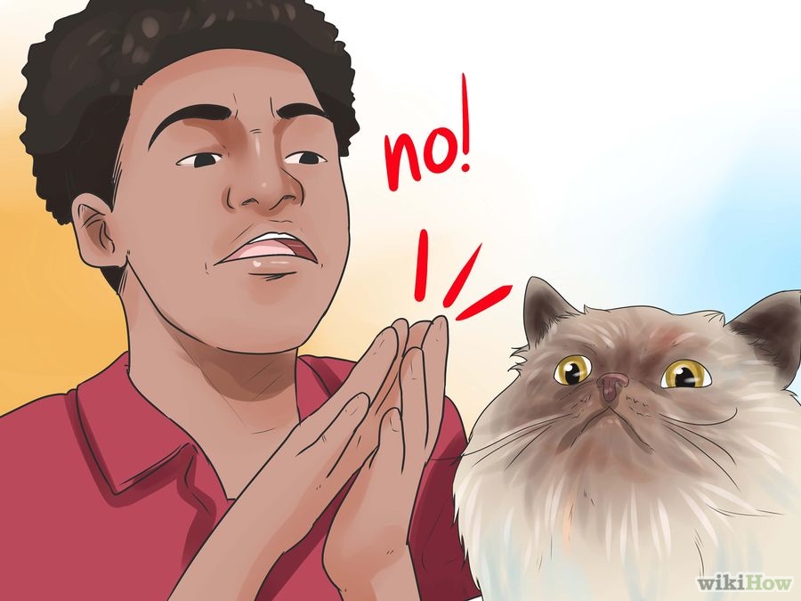 Insegnare al gatto a non graffiare