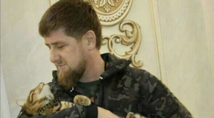Il leader ceceno con il suo gatto