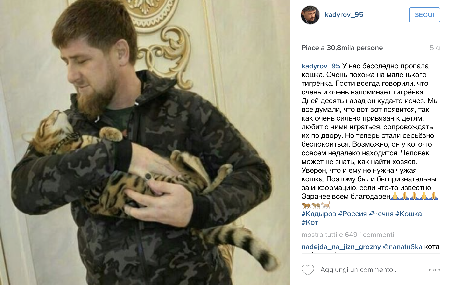 Ramzan Kadyrov e il suo gatto Toyger