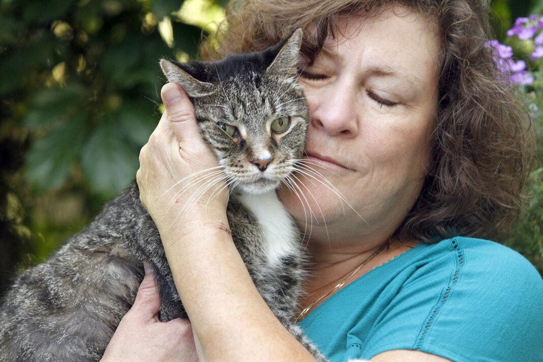 I Gatti Sentono Se Stai Male