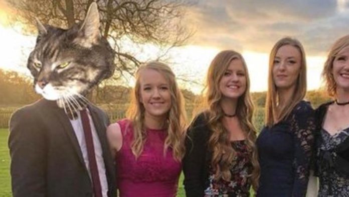 Un gatto prende il posto del fidanzato nelle sue foto di famiglia