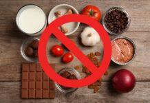 Cibo vietato ai gatti: 10 alimenti pericolosi da evitare 10 alimenti pericolosi che il gatto NON deve mangiare