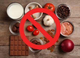 Cibo vietato ai gatti: 10 alimenti pericolosi da evitare 10 alimenti pericolosi che il gatto NON deve mangiare