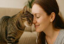 Gatto che ti dà piccoli colpi di testa e poi se ne va: che messaggio è? Gatto che ti dà piccoli colpi di testa