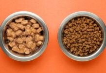 Alimentazione naturale o industriale? Falsi miti che confondono chi vive con un gatto Alimentazione naturale o industriale