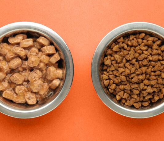 Alimentazione naturale o industriale? Falsi miti che confondono chi vive con un gatto Alimentazione naturale o industriale