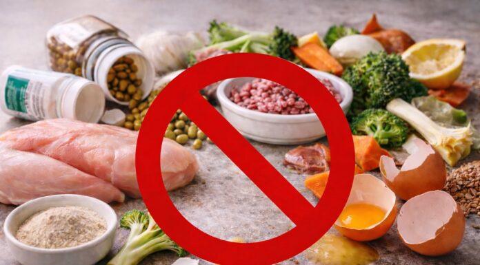 Dieta naturale per gatti: errori comuni che possono fare danni seri Dieta naturale gatti- errori comuni