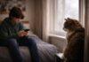 Gatto e adolescenti (11–16 anni): convivenza, distacco e nuove dinamiche Gatto e adolescenti (11–16 anni)