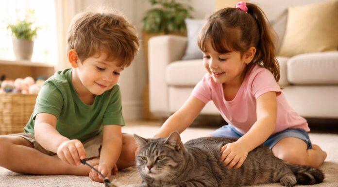 Gatto e bambini in età prescolare (3–5 anni): guida alla convivenza Gatto e bambini prescolare