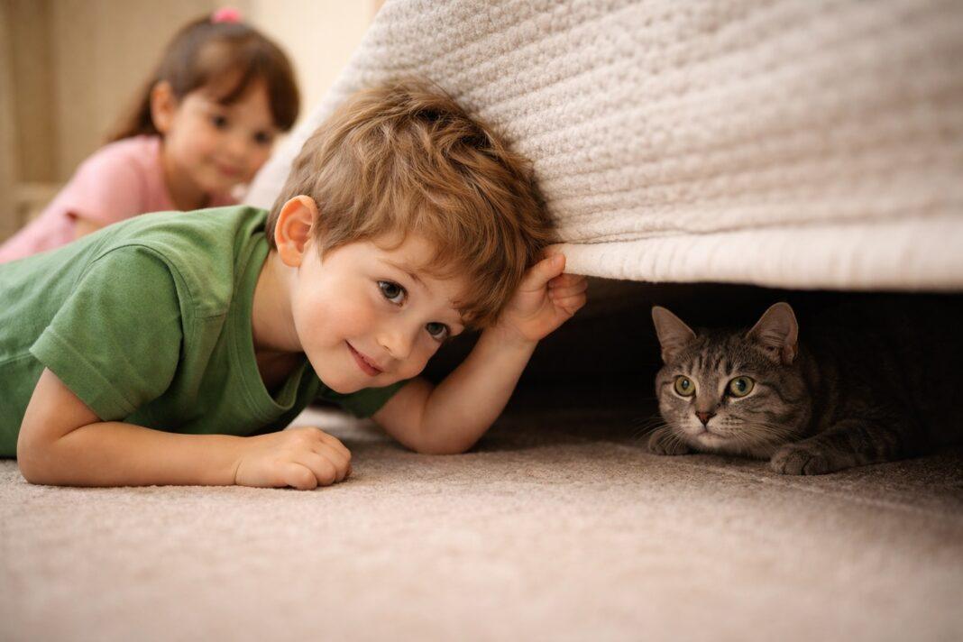 Il gatto si nasconde quando arriva il bambino Il gatto si nasconde quando arriva il bambino