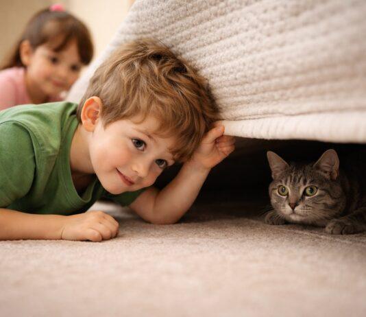 Il gatto si nasconde quando arriva il bambino: è normale? Il gatto si nasconde quando arriva il bambino