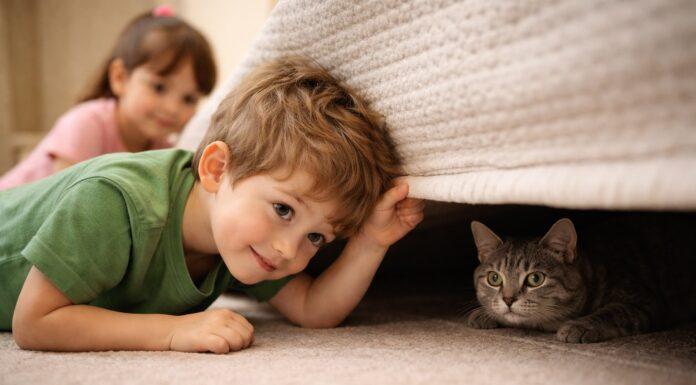 Il gatto si nasconde quando arriva il bambino: è normale? Il gatto si nasconde quando arriva il bambino