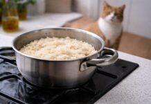 Riso per gatti: serve davvero o è solo un riempitivo? Riso per gatti