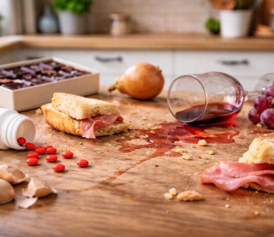 Il gatto ha mangiato qualcosa di sbagliato: cosa fare subito (e cosa no) gatto ha mangiato qualcosa di sbagliato